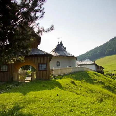 Casuta Mamaiei Lizeta - Holiday home Baltatesti
